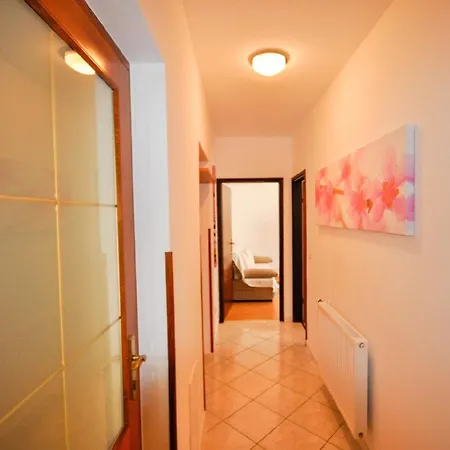 Fuer 4 Personen Ca 45 M In Novigrad, Adriakueste Kroatien Westkueste Von Istrien * Karpinjan