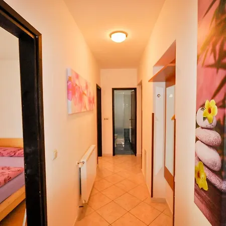 Fuer 4 Personen Ca 45 M In Novigrad, Adriakueste Kroatien Westkueste Von Istrien
